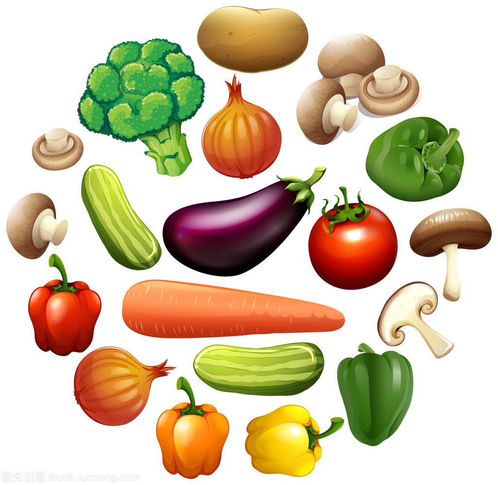 不同种的蔬菜