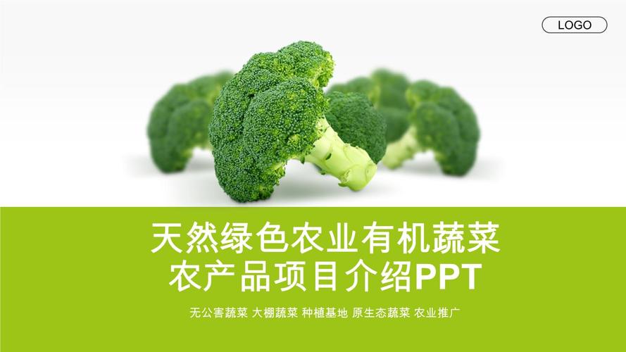 天然绿色农业有机蔬菜农产品项目介绍ppt模板.pptx 57页